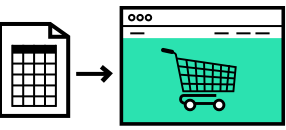 Icon data import webshop