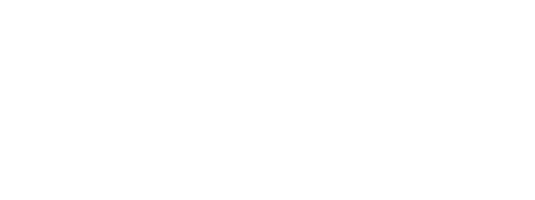 Logo Dillysocks